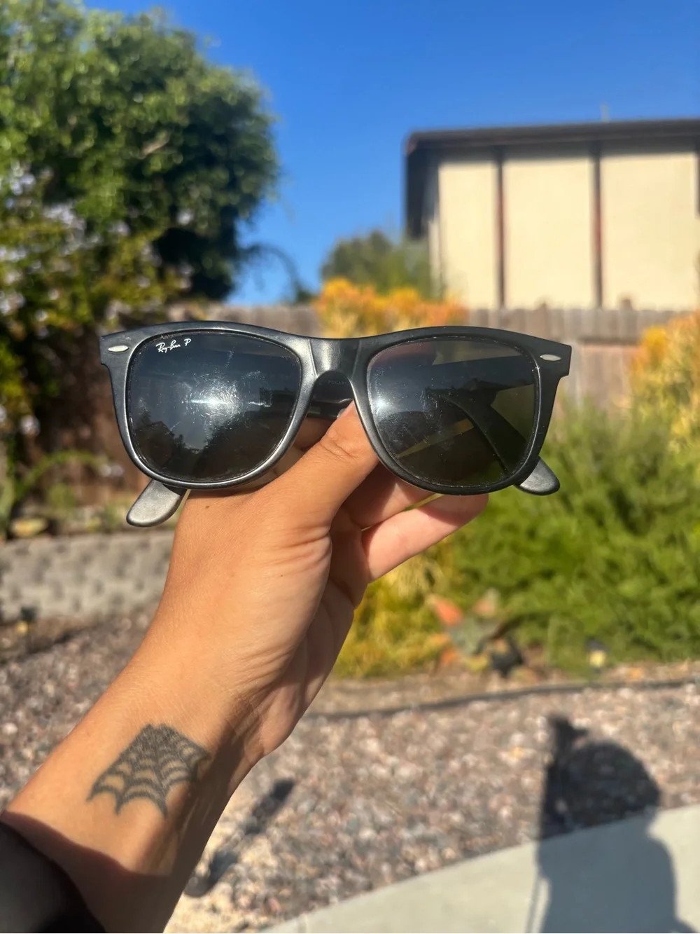 Sunglasses
